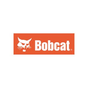 Bobcat